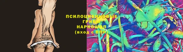 спиды Арсеньев