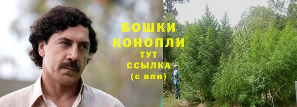 спиды Арсеньев