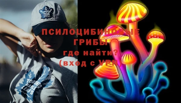 спиды Арсеньев