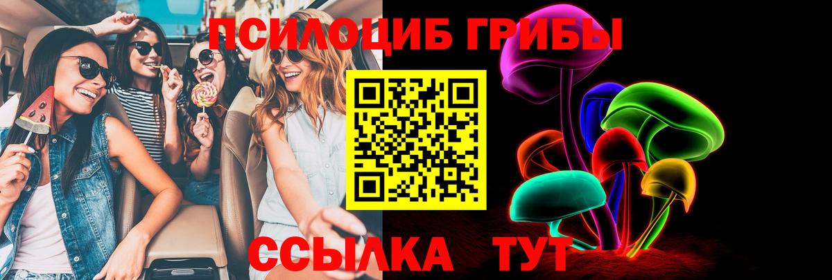 Переславль-Залесский  Псилоцибиновые грибы мухоморы  Вход с VPN 