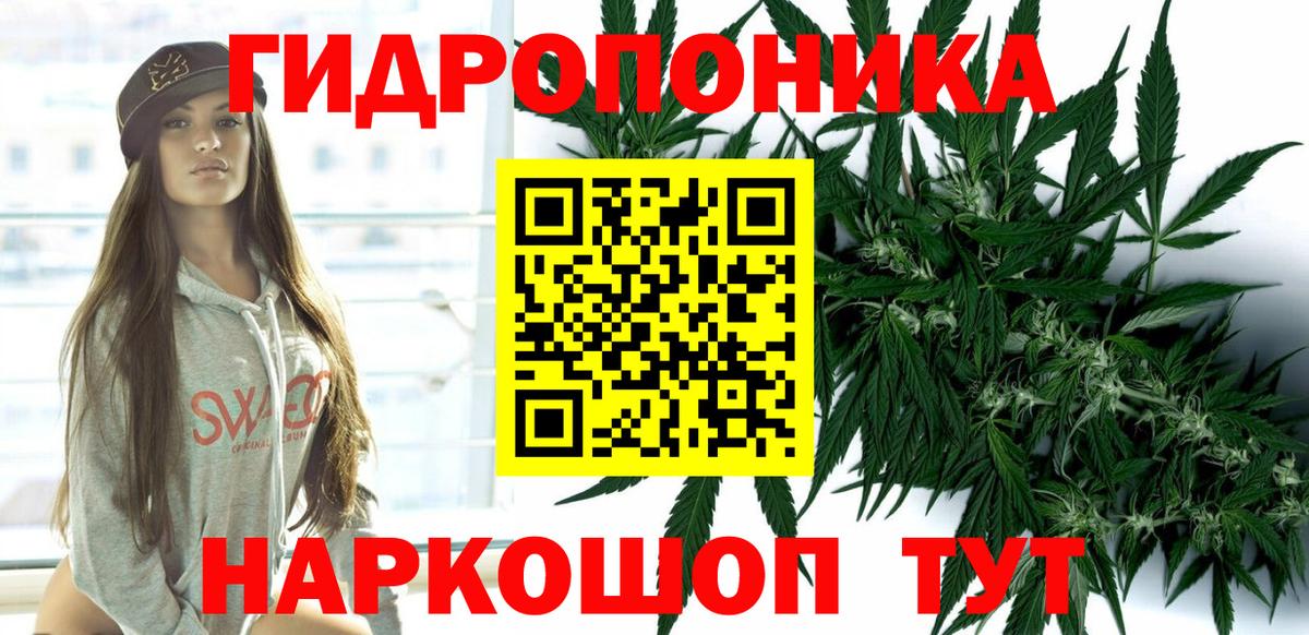 Шишки марихуана план  Бошки марихуана сатива  Переславль-Залесский  Вход с VPN  Бошки марихуана марихуана 
